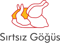 Anatomi